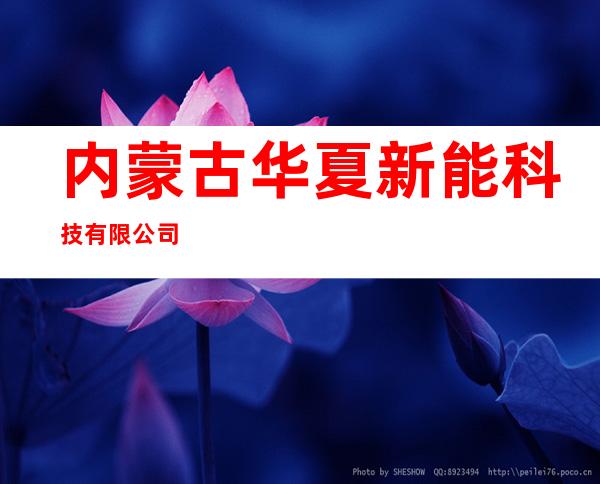内蒙古华夏新能科技有限公司